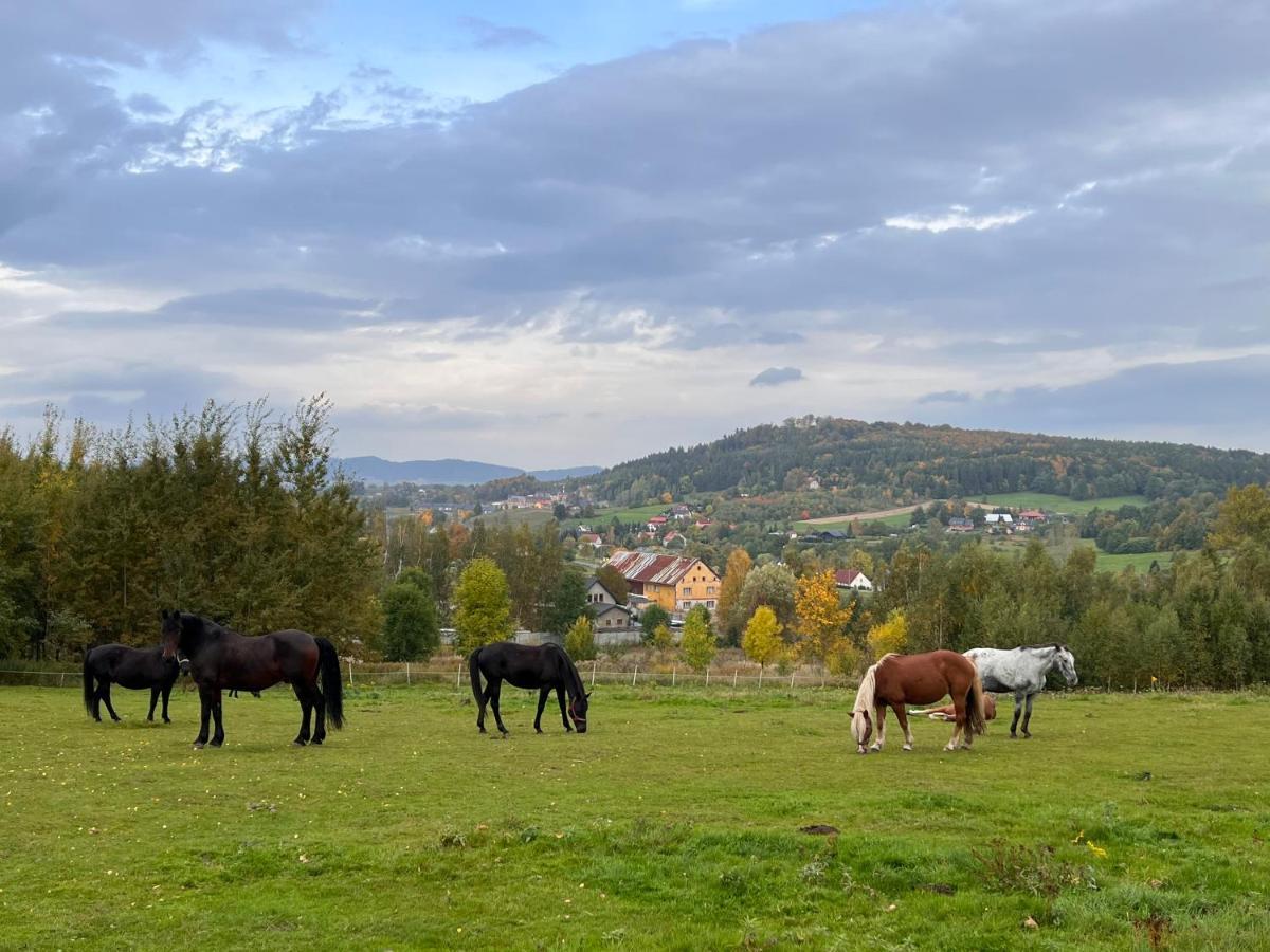 Śnieżna Chatka - Sosnówka Karpacz Exterior foto