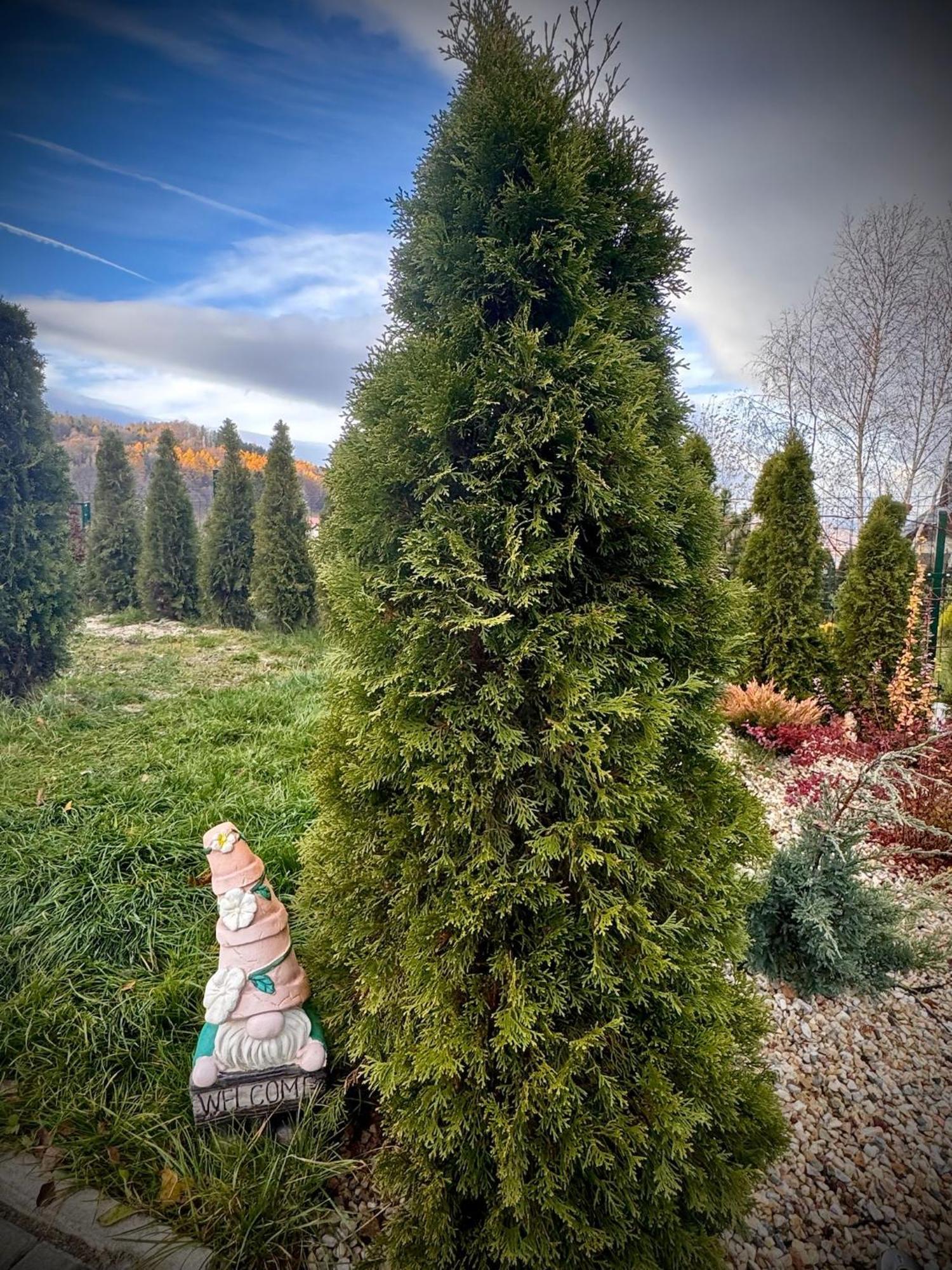 Śnieżna Chatka - Sosnówka Karpacz Exterior foto